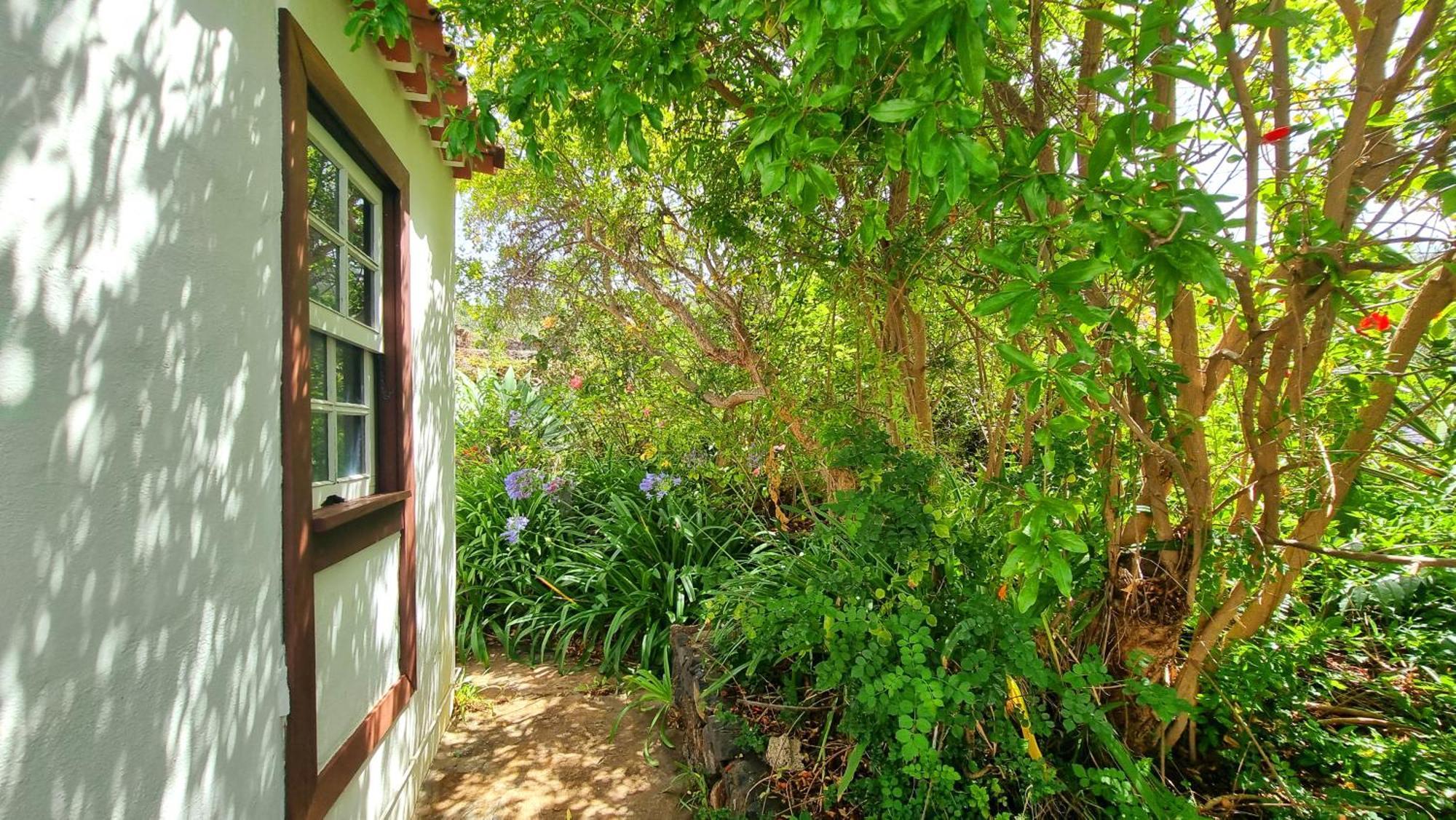 Villa El Jócamo Puntagorda Exterior foto